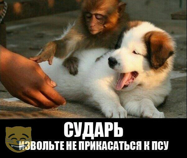 ВШЫЕ НЕ ПРИНАЩПЮП Щ