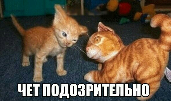 5 13 О Ё _ чп ППДВЗРИТШЬЩ