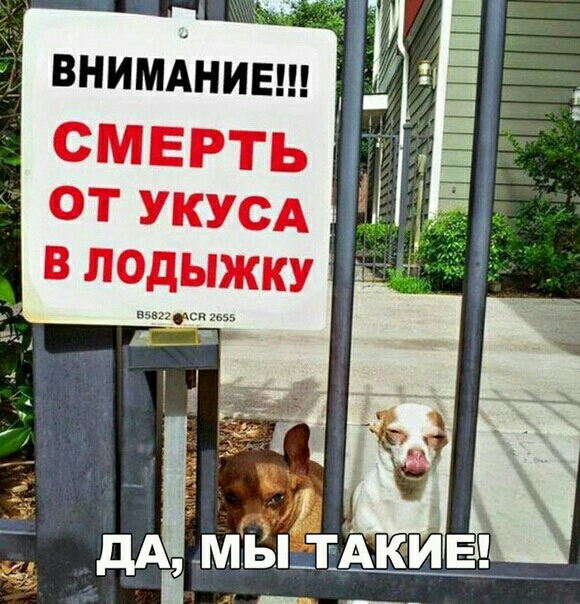 и Ё дА_МБзАКИЕ