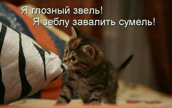 зный звепь бпу завалить сумепь