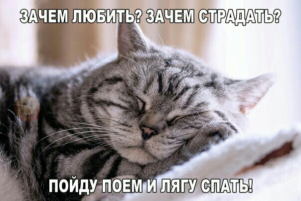 ЛЮБИТЬ 296 ТПИДЁЫР пойдудшм и ты