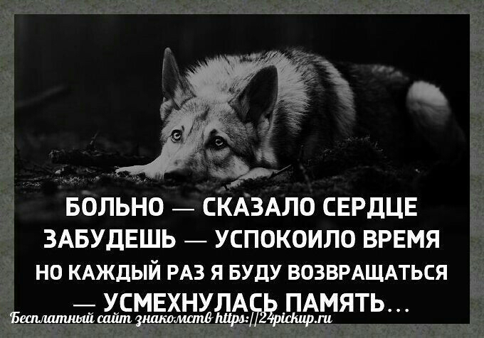 БОЛЬНО СКАЗАЛО СЕРДЦЕ ЗАБУДЕШЬ УСПОКОИЛО ВРЕМЯ НО КАЖДЫЙ РАЗ Я БУДУ ВОЗВРАЩАТЬСЯ УСМЕХНУЛА ПАМЯТЬ Бшилпишйшйтзлшклмшпд