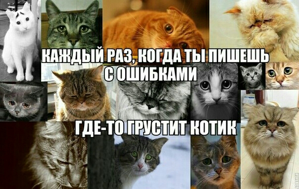 в ЁУПП 11ПізиііііИіШПИН 4531 314