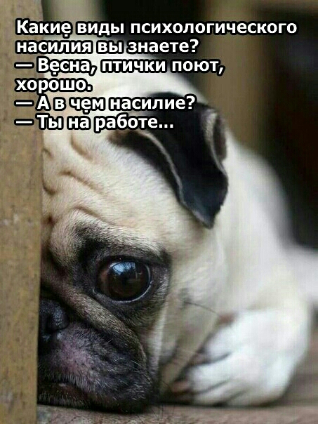 КаКи_ виды психологического насилия вы знаете АВШЭЮ насилие _ Ты БВ работе