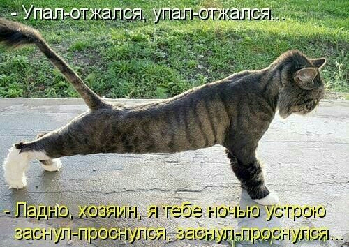 раю