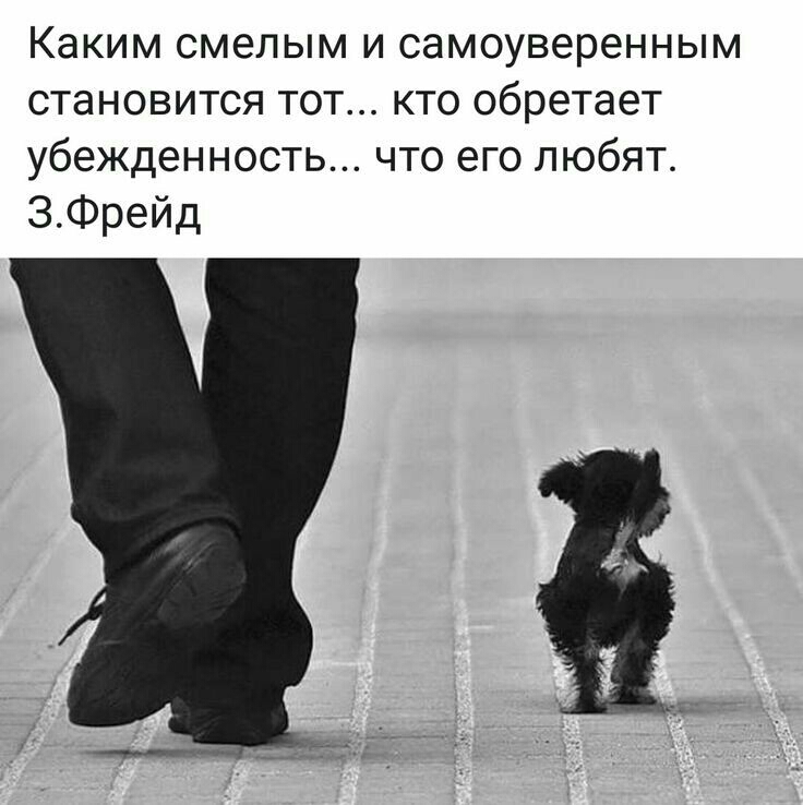Каким смелым и самоуверенным становится тот кто обретает убежденность что его любят ЭФрейд