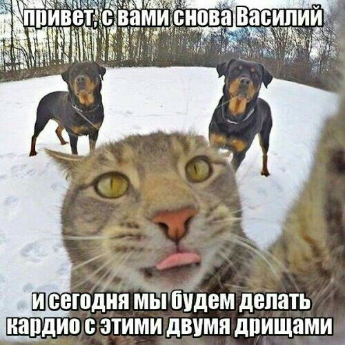 гпчшіидем делать кардио этими двумя дпищами еюдня м Е