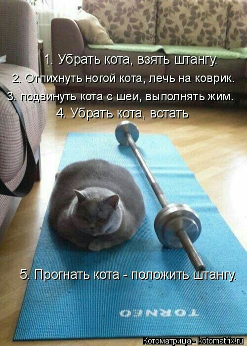 _ к Убрать кота взять штанг 2 О ихнуть ногой кота лечь на коврик Прогнать кота ПОЛОЖИТЬ шта _ С ал_10ібтёіг