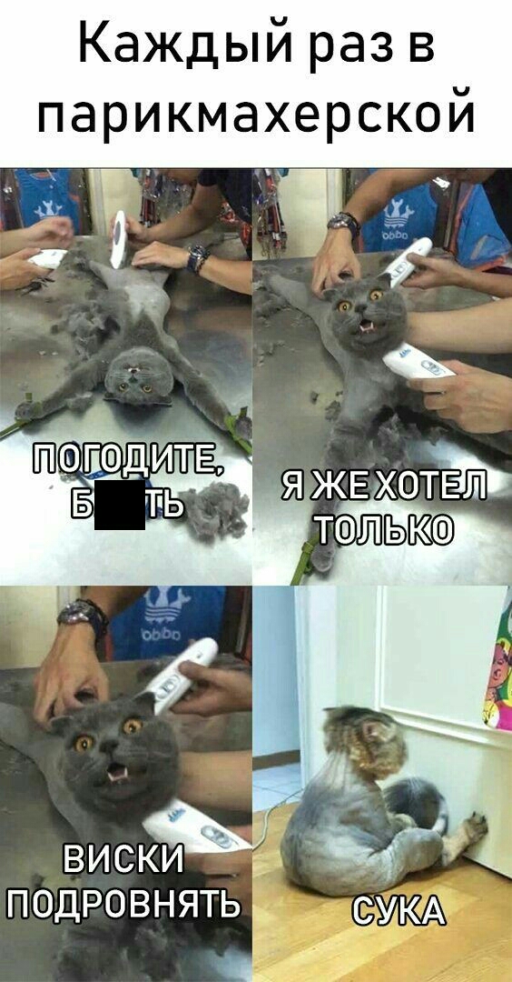 Каждый раз в парикмахерской виски и подровнять Муткд