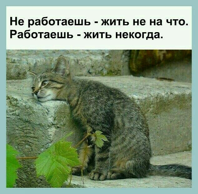 Не работаешь жить не на что Работаешь жить некогда видів