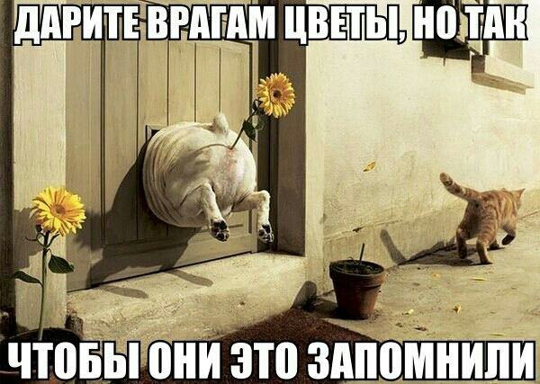 чтовы они это здпомнипи