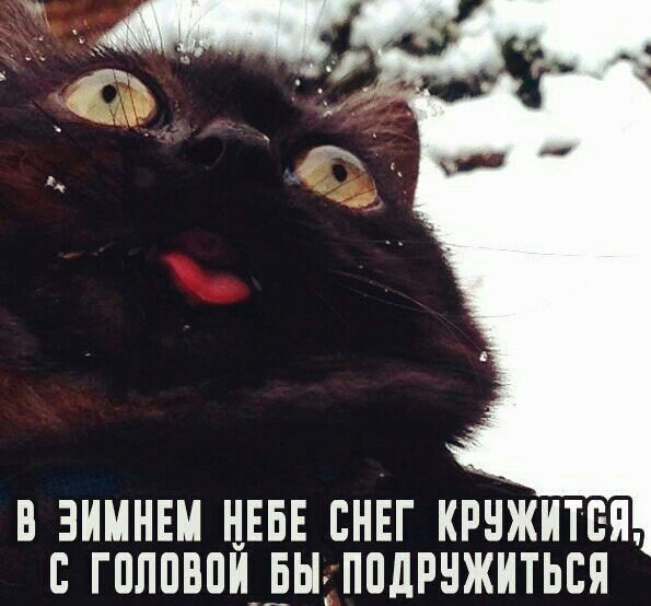 В ЗИМНЕМ ЦЕБЕ СНЕГ КРНЖИТЕП С ГПЛПВПИЁЫ ППЛРНЖИТЬЕЯ