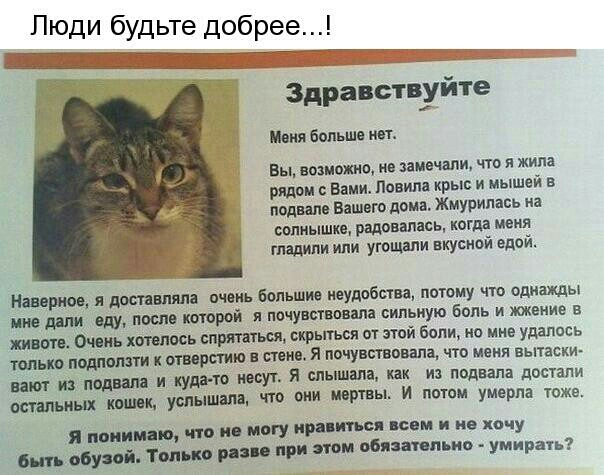 ПЮди будьте добрее Здравствуйте Моня большо изъ вы возможно ив замечали что я жила рядом с Вами повипа крыс и мышей в подвал Вашего дома Жмурипась на солнышке радовалась когда Меня гладили или угощали вкусной вдой Плеврит я доставляла очень большие неудобства потому что однажды ние дми еду пост которой я почувывпвша сильную боль и жжение в животе синь хотелось спрпатющ пкрьпься от этой боли но мне