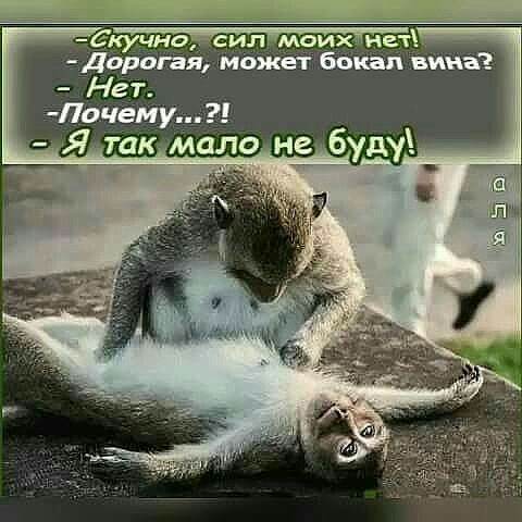 Доратя МОжет бокал вина Нет Почему Я так ало не бду