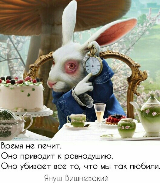 Время не печит Оно приводит к ровнодушию Оно убивает все то что мы так пюбипи Януш Вишневский