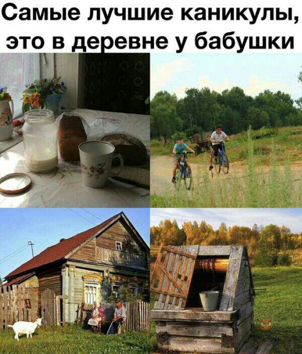 Самые лучшие каникулы е евне у бабушки