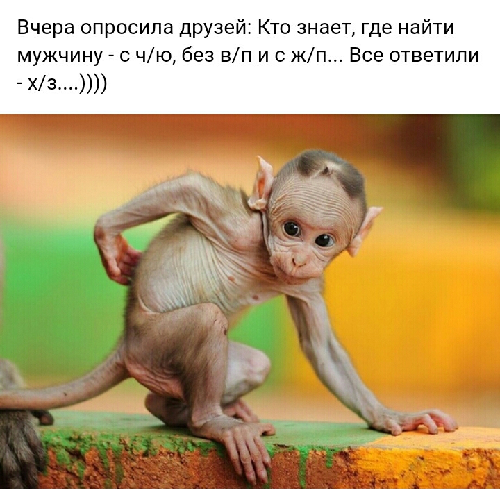Вчера опросила друзей Кто знает где найти мужчину с чю без вп и с жп Все ответили хз
