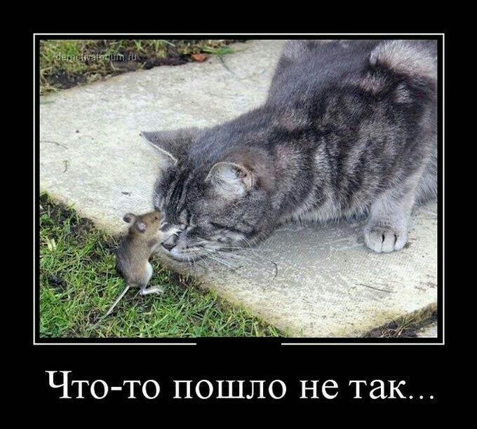 Чтото пошло не так