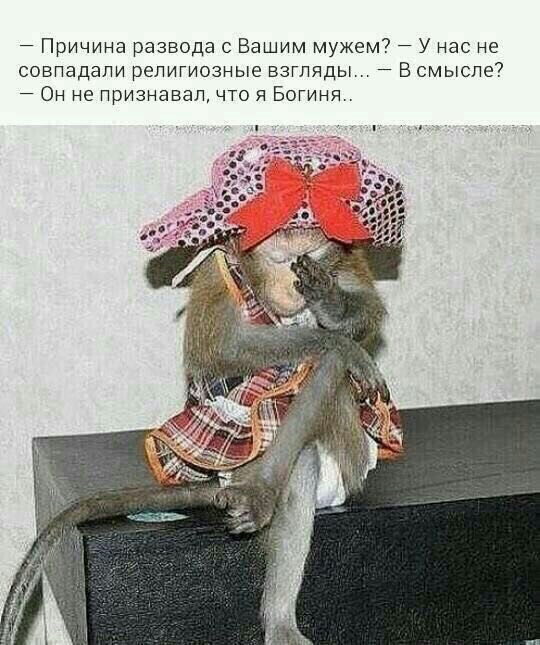 Причина развода с Вашим мужем У нас не совпадали религиозные взгляды В смысле Он не признавал что я Богиня