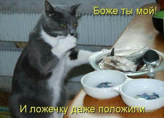 111 ДНД