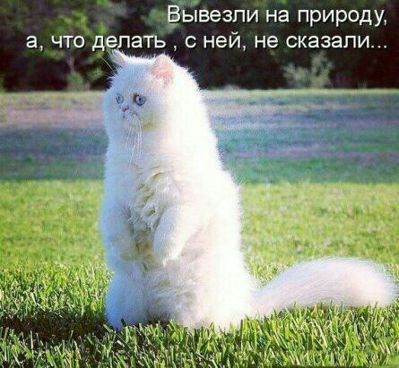 Вывезпи на природу а ЧТО де аТЬ СНеЙ Не Сказали
