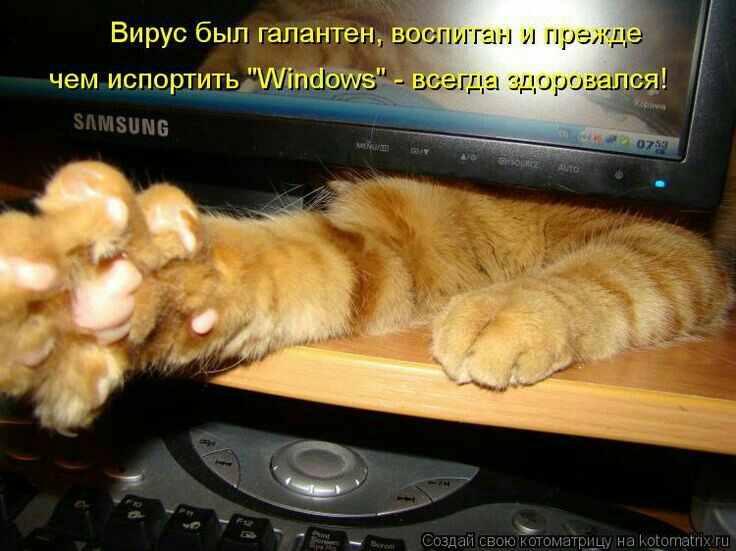 5 __ _ Ц _ Создай свою оатщц на Мартан