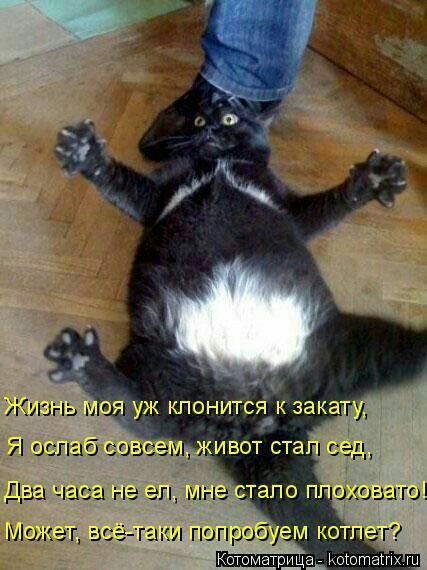 7 испао со шодаго матрица вшита