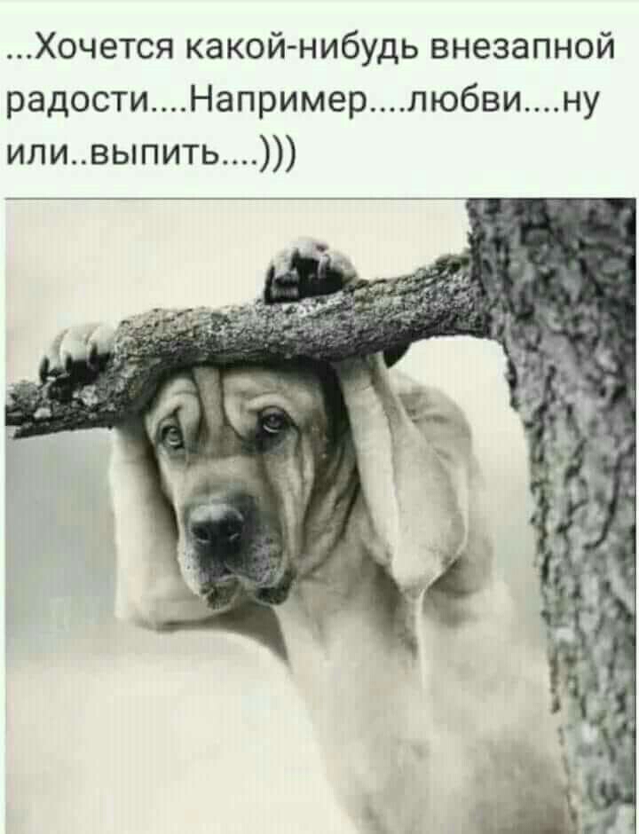 Хочется какой нибудь внезапной радостиНапримерлюбвину иливыпить