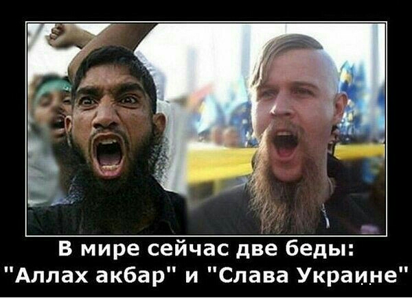 В мире сейчас две беды Аллах акбар и Слава Украине