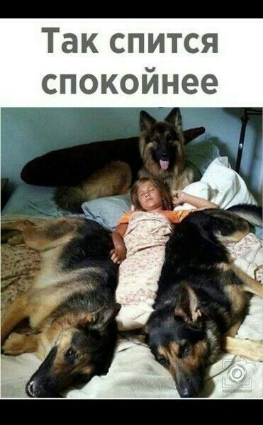 Так спится спокойнее