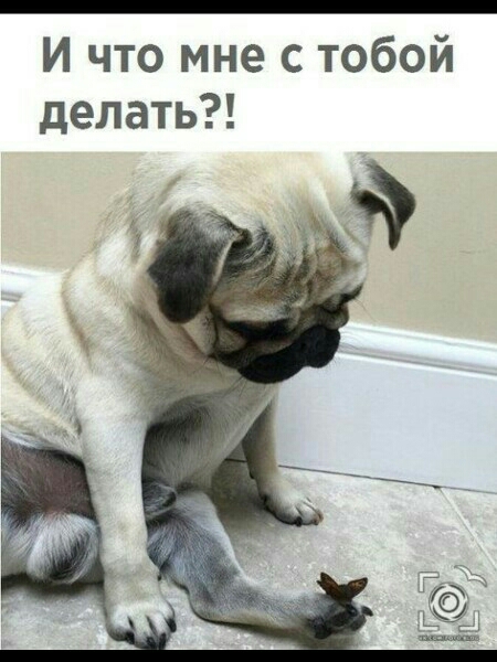 И что мне с тобой делать