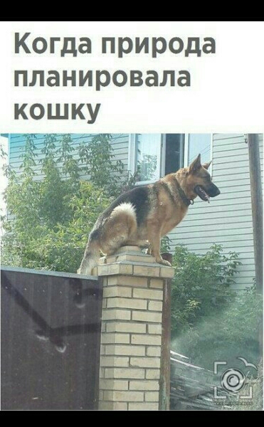 ма