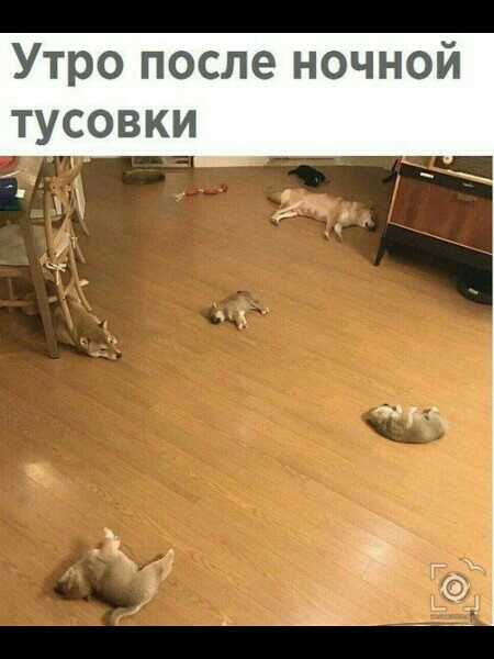 Утро после ночной тусовки