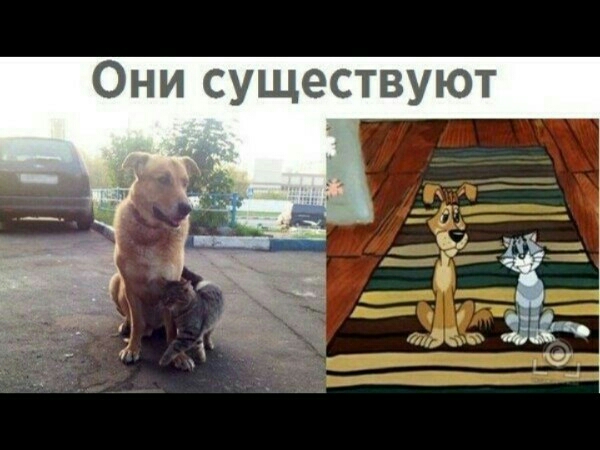 Они существуют