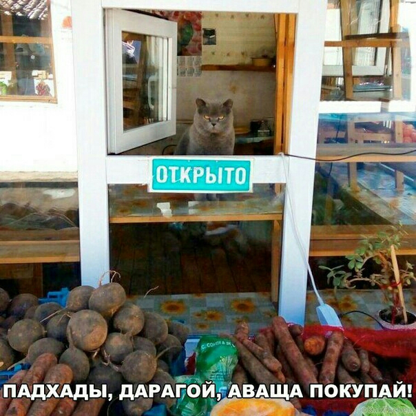 ПАдХАдЫ дАРАГОИЁАВАЩА ПОКЖЙ _