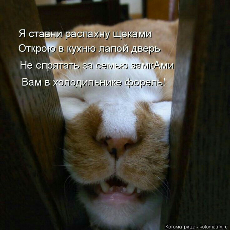 равнину щеками Ю в кухню лапой дверь ю за лияАми А Вам в олодипьникэ срорепь Котоматрица Жошташх ш