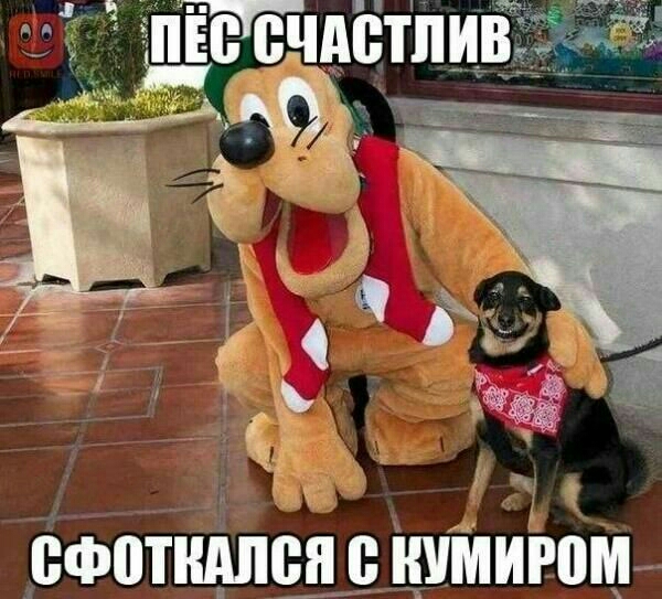 сфотщшся Штирии