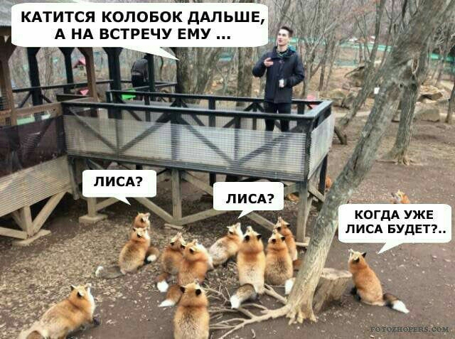 КОГДА УЖЕ ЛИСА БУДЕТ