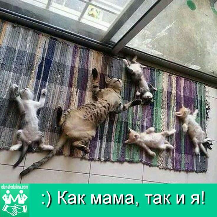 Как мама так и я