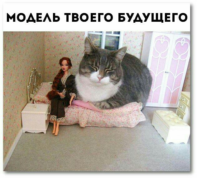 БУАУЩЕГО _ МОАЕАЬ ТВО ЕГО