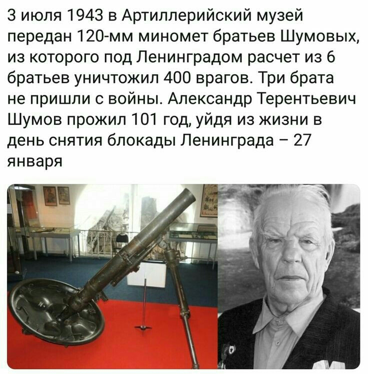 3 июля 1943 в Артиллерийский музей передан 120 мм миномет братьев Шумовых из которого под Ленинградом расчет из 6 братьев уничтожил 400 врагов Три брата непришливойныАлександрТёрентьевич ЦШмовпрожил101годуйдяизжизнив деньснятияблокадьпЛенинграда 27 января