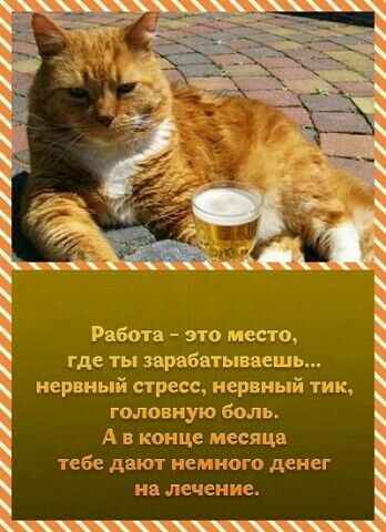 Работа это место где ты зарабатываешь нервный стресс нервный тик головную боль А в конце месяца тебе дают немного денег на лечение