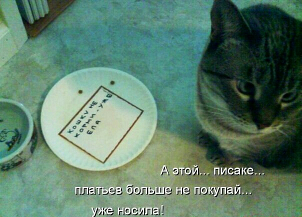 г июл ППЫГЬЭ ООПЬЦЬ гіэ ПШ УПЕЪИ Ц носиш