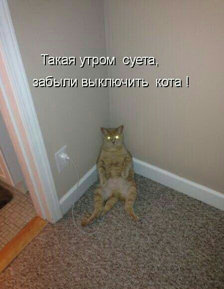 Такая угрбм суета забыпи БЫЮПОЧИГЬ іЮГЕі