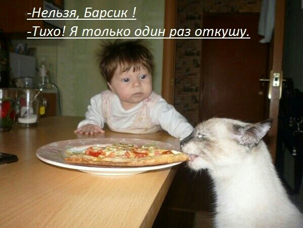 Нельзя Барсик Тихо Я только один диз откиши