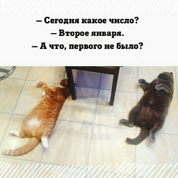 Сегодня какое число Второе января А что первого не было 7