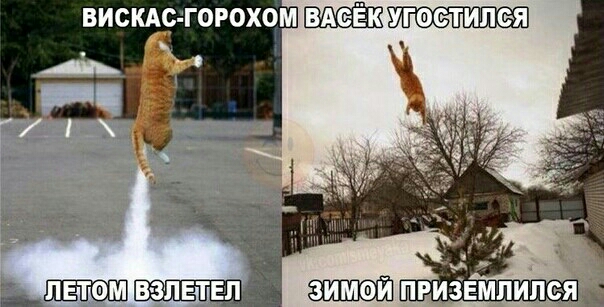 ВИСКАс ГОРОХОМ 3 УГОСТИПЁЯ 1