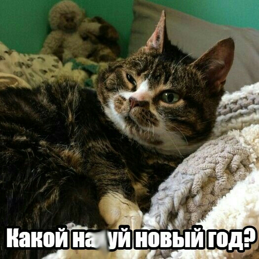 Ё ВЫЙ од