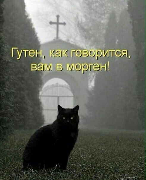 как говор