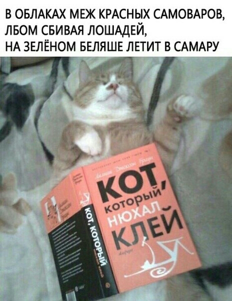 в ОБЛАКАХ мвж КРАСНЫХ САМОВАРОВ лвом СБИВАЯ ЛОШАДЕЙ НА зелёном ввляшв лвтит в САМАРУ Г